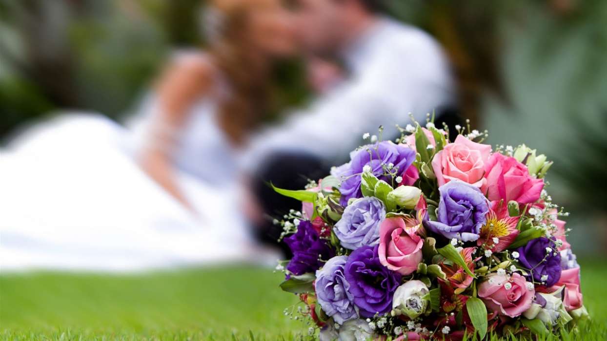 Bouquets,Blumen,Landschaft,Feiertage,Pflanzen,Hochzeit