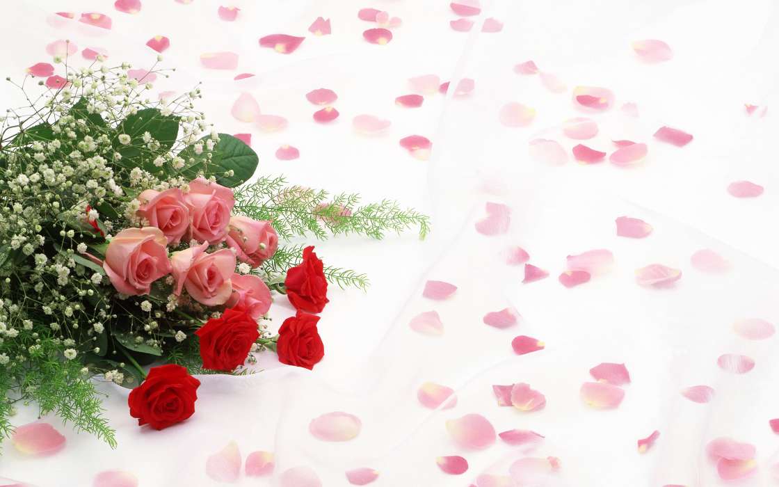 Bouquets,Blumen,Pflanzen,Roses