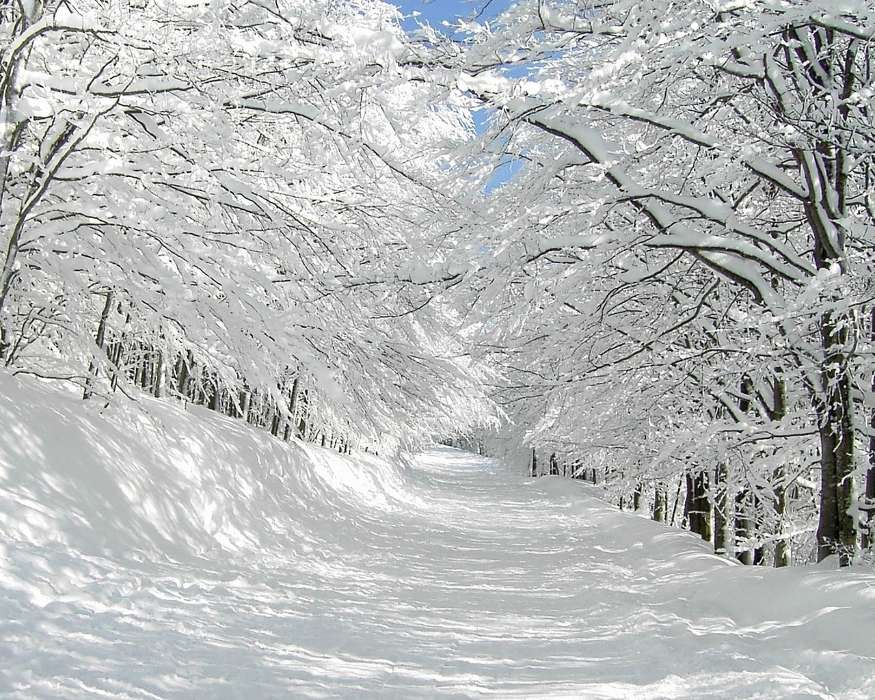 Landschaft,Bäume,Roads,Schnee