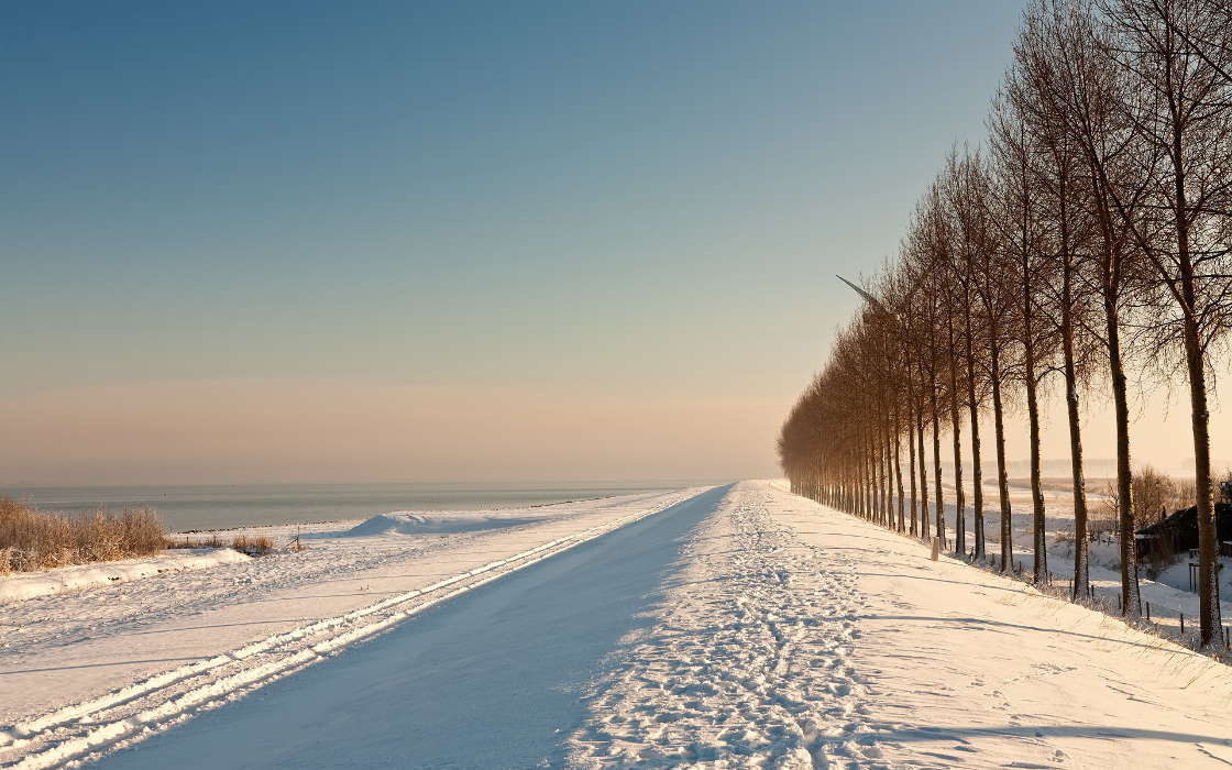 Landschaft,Winterreifen,Bäume,Roads,Schnee
