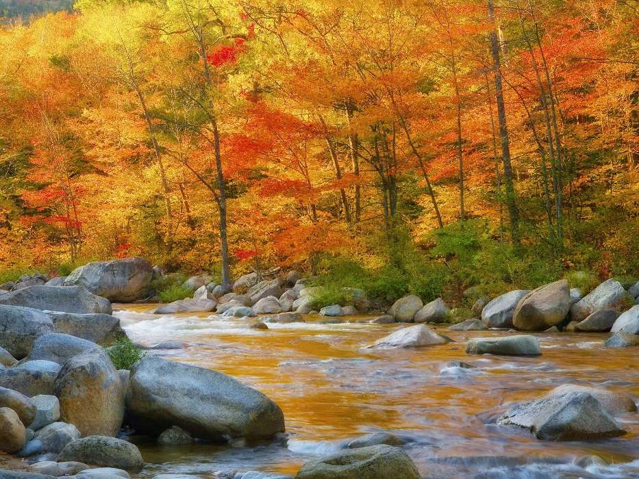 Landschaft,Wasser,Flüsse,Bäume,Stones,Herbst