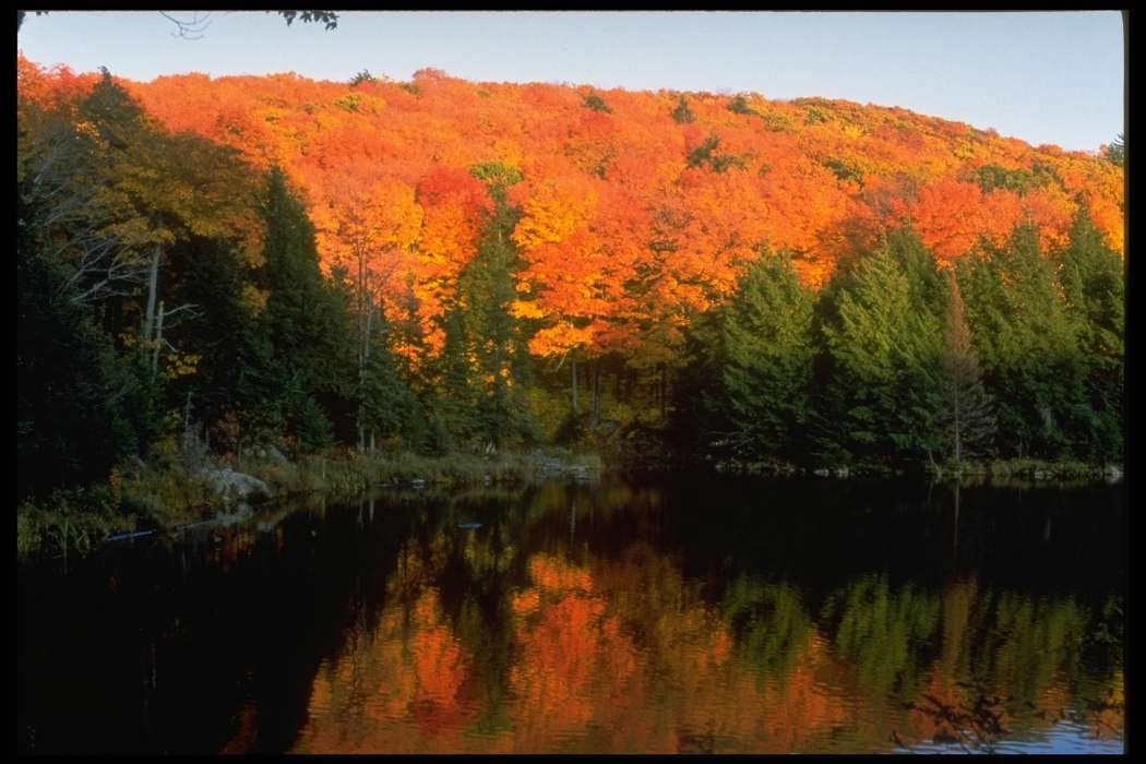 Landschaft,Bäume,Herbst,Seen