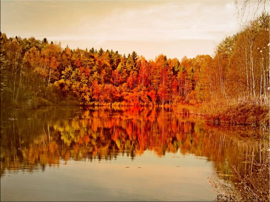 Landschaft,Wasser,Bäume,Herbst,Seen