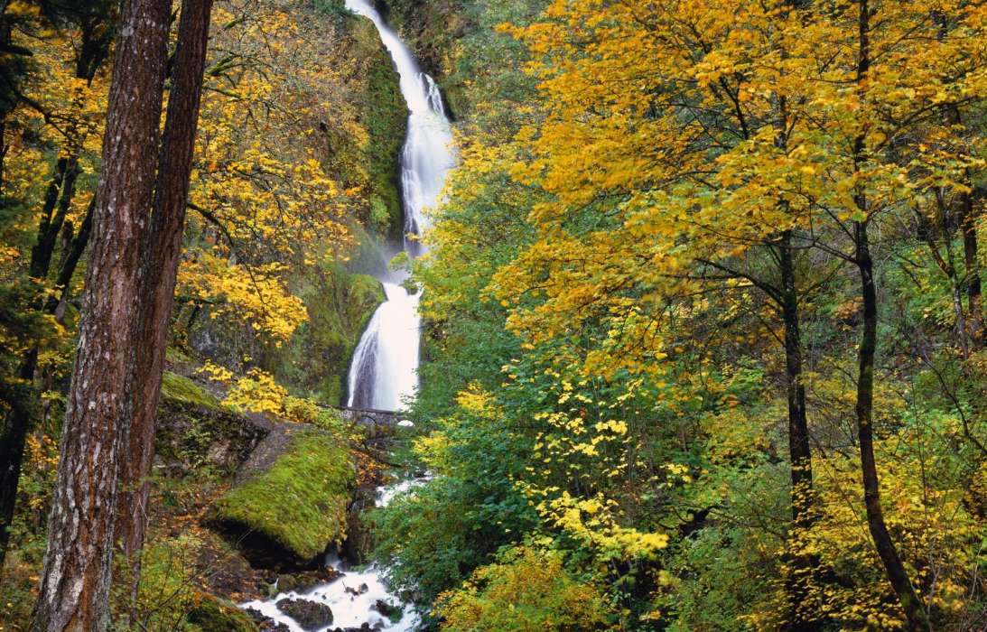 Landschaft,Bäume,Herbst,Wasserfälle