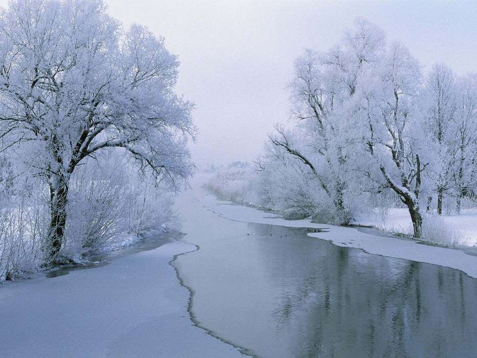 Landschaft,Winterreifen,Flüsse,Bäume,Schnee