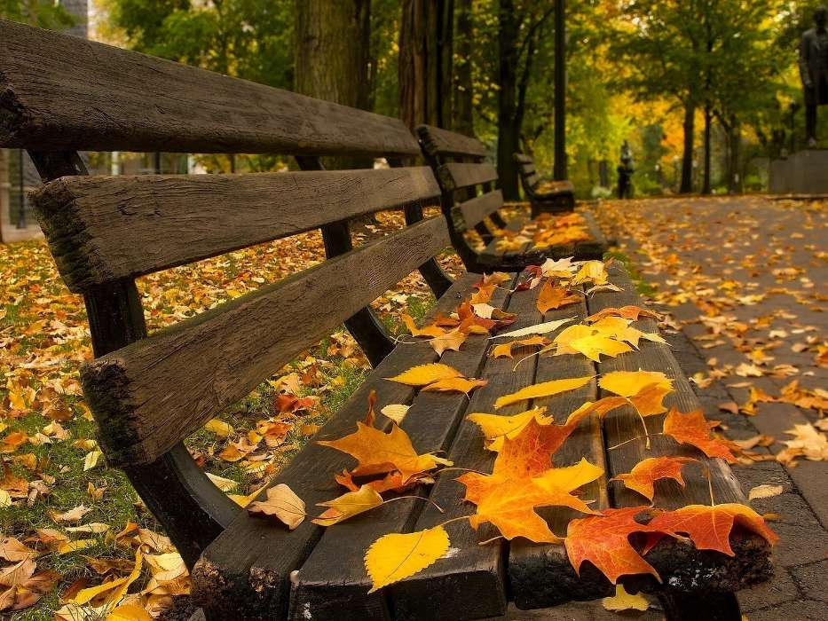 Landschaft,Herbst,Blätter,Streets