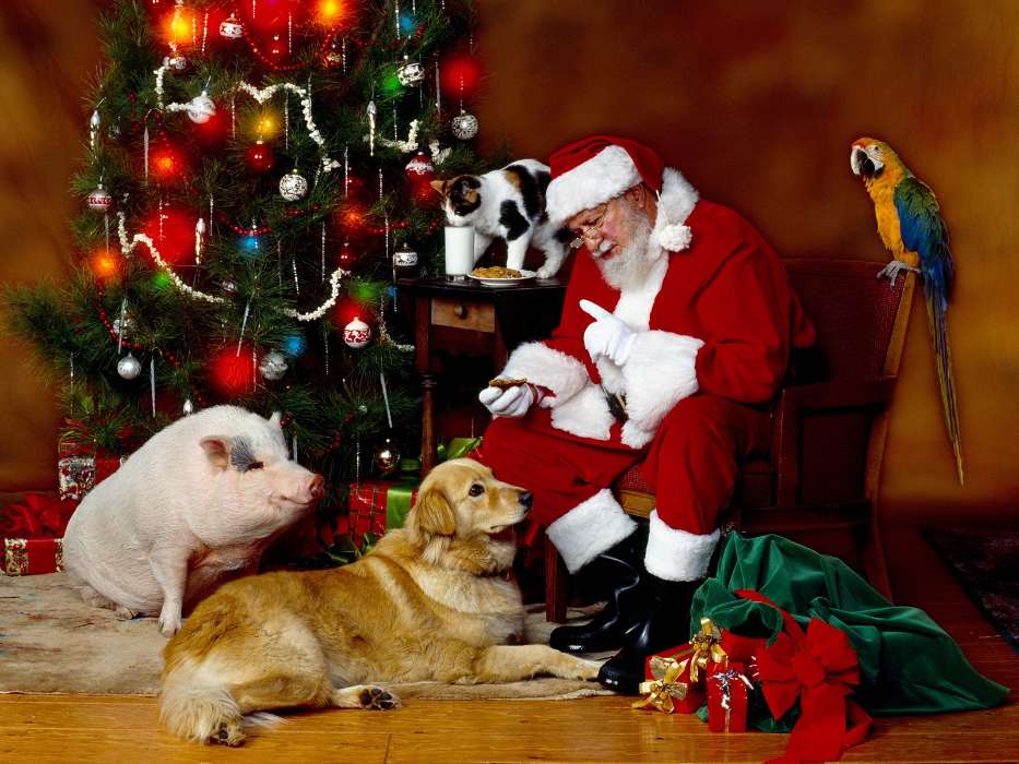 Feiertage,Tiere,Menschen,Neujahr,Weihnachtsmann,Weihnachten