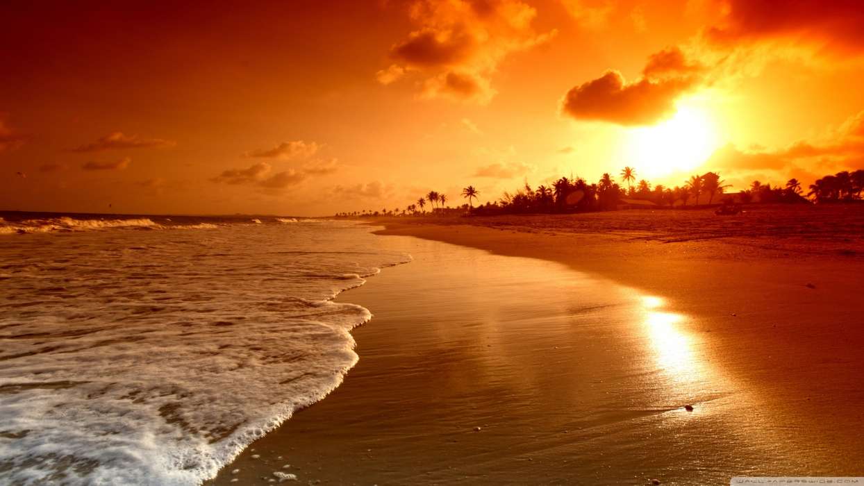 Landschaft,Sunset,Sea,Strand