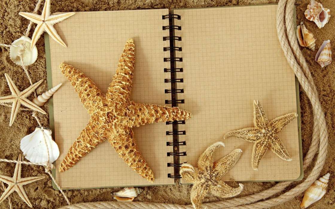 Hintergrund,Starfish