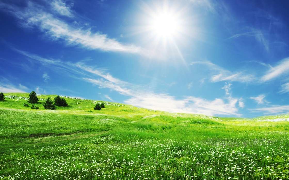 Landschaft,Grass,Sky,Sun