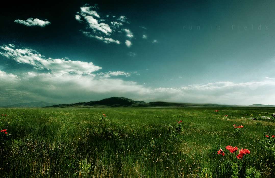 Landschaft,Grass,Sky