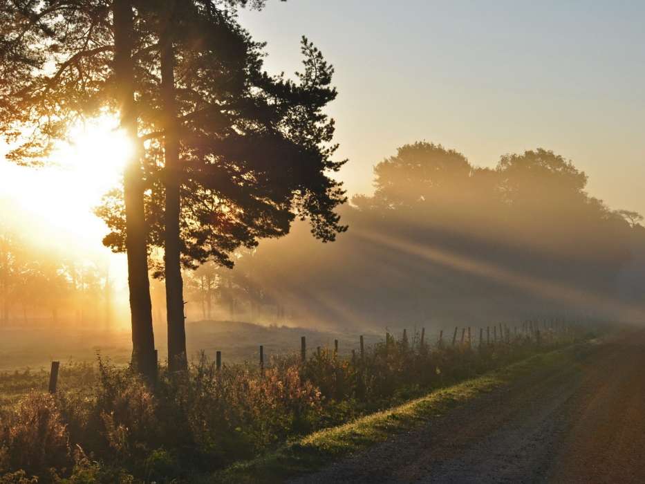 Landschaft,Natur