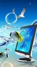 Lade kostenlos Hintergrundbilder Seagulls,Fotokunst,Hintergrund,Fische für Handy oder Tablet herunter.