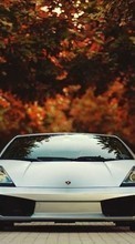 Lade kostenlos Hintergrundbilder Lamborghini,Auto,Transport für Handy oder Tablet herunter.