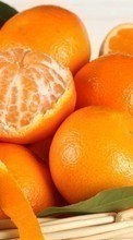 Lade kostenlos Hintergrundbilder Oranges,Lebensmittel,Obst für Handy oder Tablet herunter.