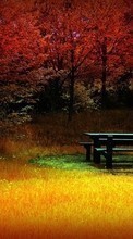 Lade kostenlos 240x400 Hintergrundbilder Landschaft,Bäume,Herbst,Fotokunst für Handy oder Tablet herunter.