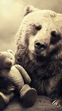 Lade kostenlos Hintergrundbilder Tiere,Fotokunst,Spielzeug,Bären für Handy oder Tablet herunter.