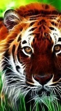 Lade kostenlos Hintergrundbilder Fotokunst,Tigers,Tiere für Handy oder Tablet herunter.
