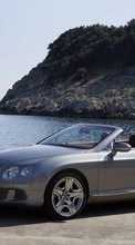 Lade kostenlos Hintergrundbilder Transport,Auto,Bentley für Handy oder Tablet herunter.