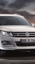 Lade kostenlos Hintergrundbilder Auto,Volkswagen,Transport für Handy oder Tablet herunter.