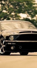 Lade kostenlos Hintergrundbilder Mustang,Transport,Auto für Handy oder Tablet herunter.