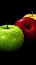 Lade kostenlos Hintergrundbilder Äpfel,Lebensmittel,Obst für Handy oder Tablet herunter.