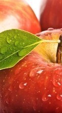 Lade kostenlos Hintergrundbilder Obst,Lebensmittel,Äpfel,Drops für Handy oder Tablet herunter.