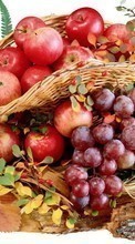 Lade kostenlos Hintergrundbilder Äpfel,Lebensmittel,Obst,Trauben für Handy oder Tablet herunter.