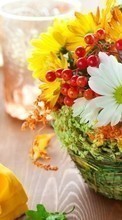 Lade kostenlos Hintergrundbilder Bouquets,Blumen,Objekte für Handy oder Tablet herunter.