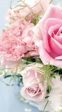 Lade kostenlos Hintergrundbilder Bouquets,Blumen,Pflanzen,Roses für Handy oder Tablet herunter.