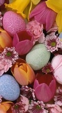 Lade kostenlos Hintergrundbilder Pflanzen,Blumen,Hintergrund,Eggs,Ostern für Handy oder Tablet herunter.