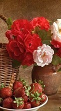 Lade kostenlos Hintergrundbilder Blumen,Erdbeere,Landschaft für Handy oder Tablet herunter.