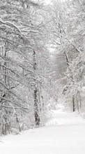 Lade kostenlos 320x480 Hintergrundbilder Landschaft,Winterreifen,Natur,Bäume,Roads,Schnee,Tannenbaum für Handy oder Tablet herunter.