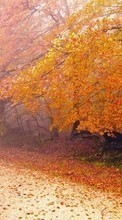 Lade kostenlos Hintergrundbilder Landschaft,Bäume,Roads,Herbst,Blätter für Handy oder Tablet herunter.