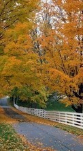 Lade kostenlos 240x320 Hintergrundbilder Landschaft,Bäume,Roads,Herbst für Handy oder Tablet herunter.