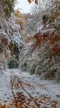 Lade kostenlos Hintergrundbilder Landschaft,Bäume,Roads,Herbst,Schnee für Handy oder Tablet herunter.
