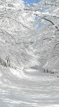 Lade kostenlos Hintergrundbilder Landschaft,Bäume,Roads,Schnee für Handy oder Tablet herunter.