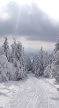 Lade kostenlos 240x320 Hintergrundbilder Landschaft,Winterreifen,Bäume,Roads,Schnee für Handy oder Tablet herunter.