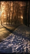 Lade kostenlos 1080x1920 Hintergrundbilder Landschaft,Winterreifen,Bäume,Roads,Schnee für Handy oder Tablet herunter.