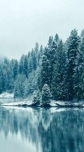 Lade kostenlos Hintergrundbilder Landschaft,Winterreifen,Flüsse,Bäume,Schnee,Tannenbaum für Handy oder Tablet herunter.