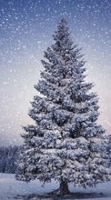 Lade kostenlos Hintergrundbilder Landschaft,Winterreifen,Bäume,Schnee,Tannenbaum für Handy oder Tablet herunter.