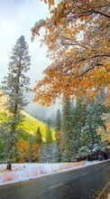 Lade kostenlos Hintergrundbilder Landschaft,Bäume,Mountains,Herbst,Schnee für Handy oder Tablet herunter.