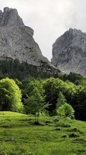 Lade kostenlos Hintergrundbilder Landschaft,Bäume,Mountains für Handy oder Tablet herunter.
