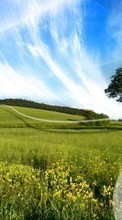 Lade kostenlos Hintergrundbilder Landschaft,Bäume,Grass,Sky für Handy oder Tablet herunter.