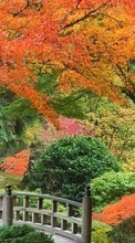 Lade kostenlos Hintergrundbilder Landschaft,Bäume,Herbst,Parks für Handy oder Tablet herunter.