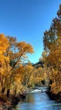 Lade kostenlos 240x320 Hintergrundbilder Landschaft,Flüsse,Bäume,Herbst für Handy oder Tablet herunter.