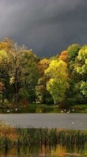 Lade kostenlos Hintergrundbilder Landschaft,Flüsse,Bäume,Herbst für Handy oder Tablet herunter.