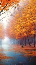 Lade kostenlos Hintergrundbilder Landschaft,Bäume,Herbst,Streets für Handy oder Tablet herunter.