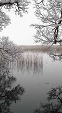 Lade kostenlos Hintergrundbilder Landschaft,Winterreifen,Wasser,Bäume,Seen für Handy oder Tablet herunter.