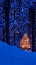 Lade kostenlos Hintergrundbilder Bäume,Landschaft,Feiertage,Natur,Schnee für Handy oder Tablet herunter.